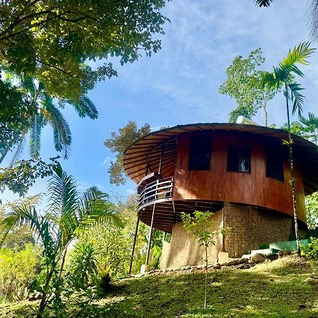 Paradiselodge Jungleguesthouse Platanillo Eksteriør billede
