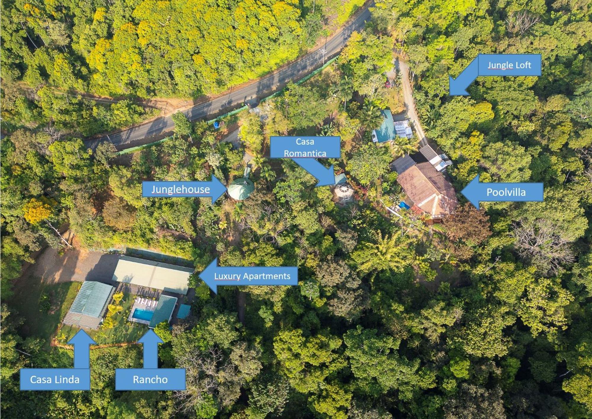 Paradiselodge Jungleguesthouse Platanillo Eksteriør billede