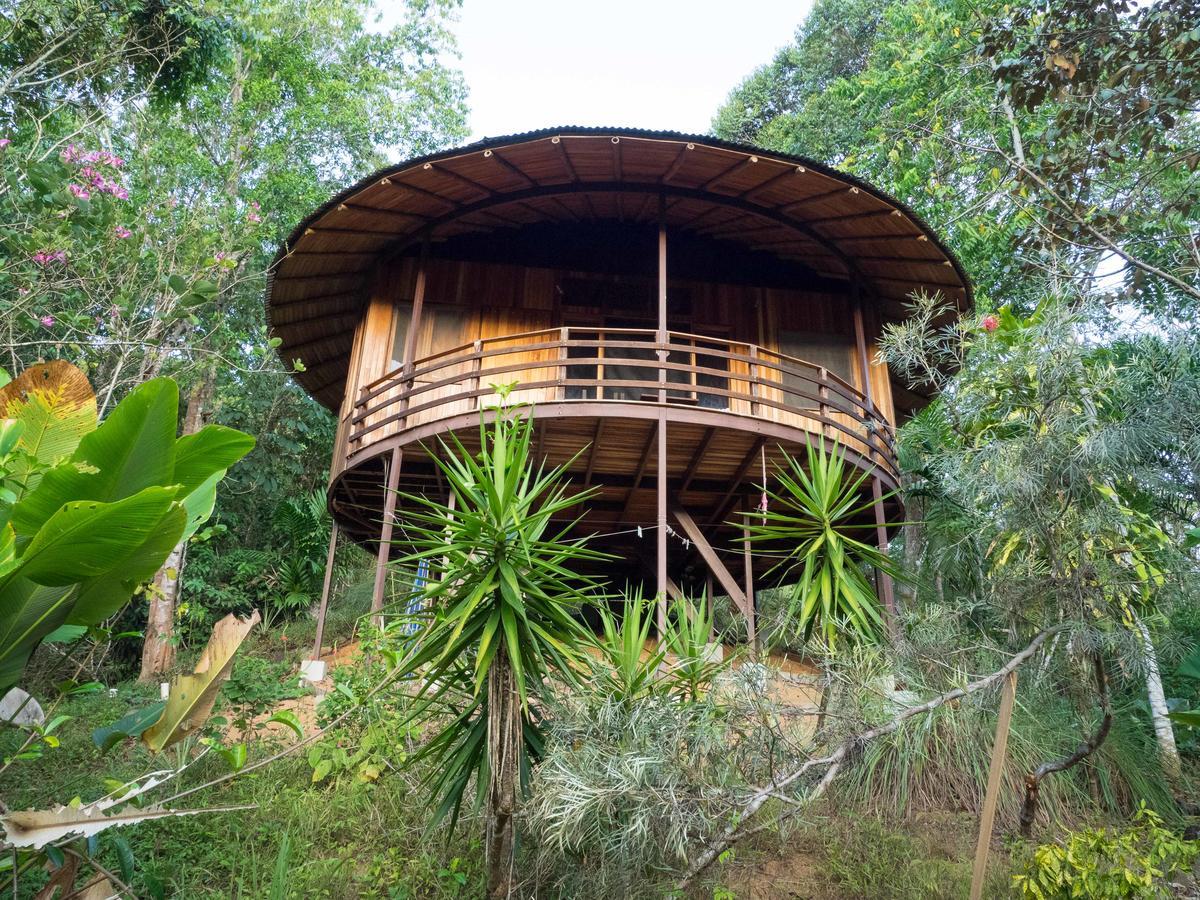 Paradiselodge Jungleguesthouse Platanillo Eksteriør billede